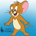 شخصیت کارتونی موش یا جری در موش و گربه