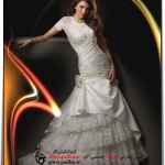 بک گراند عکس عروس 1001