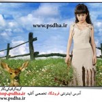 بک گراند