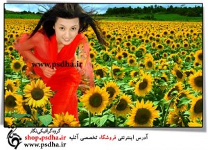 بک گراند عکس