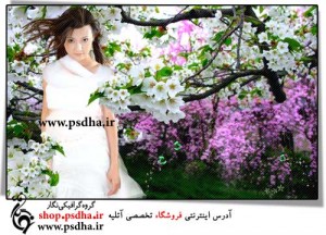 بک گراند عکس عروس