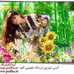 بک گراند عکس طبیعت و گل ها