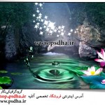 بک گراند عکس لایه باز نیلوفر