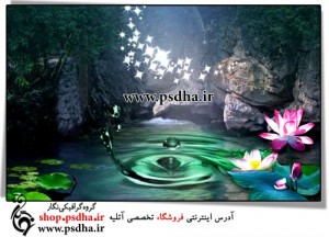 بک گراند عکس