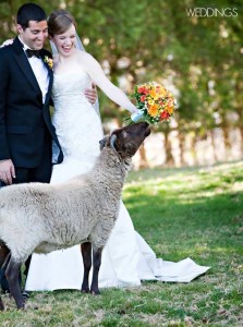 عکاسی از عروس