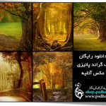 بک گراند با کیفیت پائیزی عکس