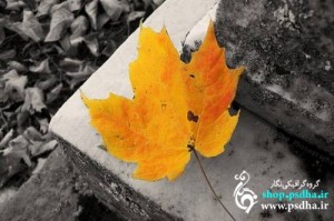 سیاه و سفید کردن بخشی از عکس در فتوشاپ