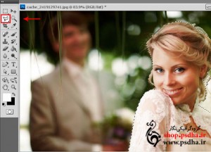 سیاه و سفید کردن قسمتی از عکس