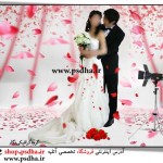 بک گراند با کیفیت عکس عروس و داماد 1135