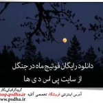 دانلود رایگان فوتیج ماه در جنگل