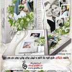 دانلود کاور و لیبل DVD برای فیلم عروس و داماد