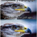اکشن تبدیل عکس به نقاشی impasto