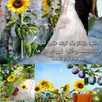 دانلود بک گراند عکس رویایی آتلیه عروس و کودک