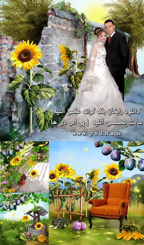بک گراند عکس آتلیه 