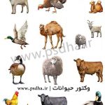 دانلود رایگان وکتور حیوانات اهلی
