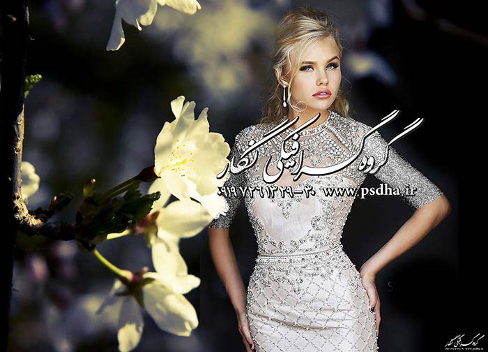 دانلود رایگان فون اسپرت و بکگراند گل عروس دانلود رایگان فون اسپرت و بکگراند گل عروس