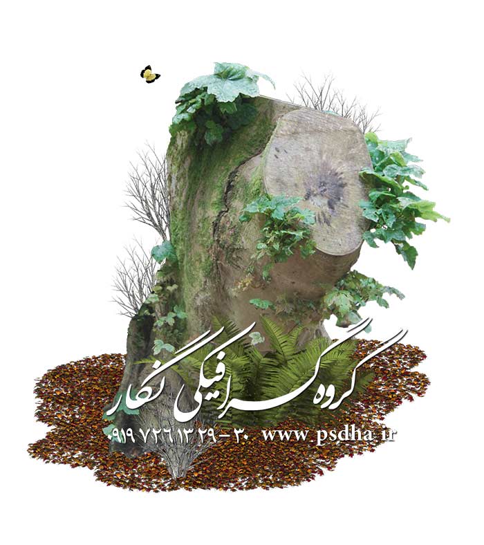 دانلود رایگان تنه درخت دور بر شده بصورت پی اس دی دانلود رایگان تنه درخت دور بر شده