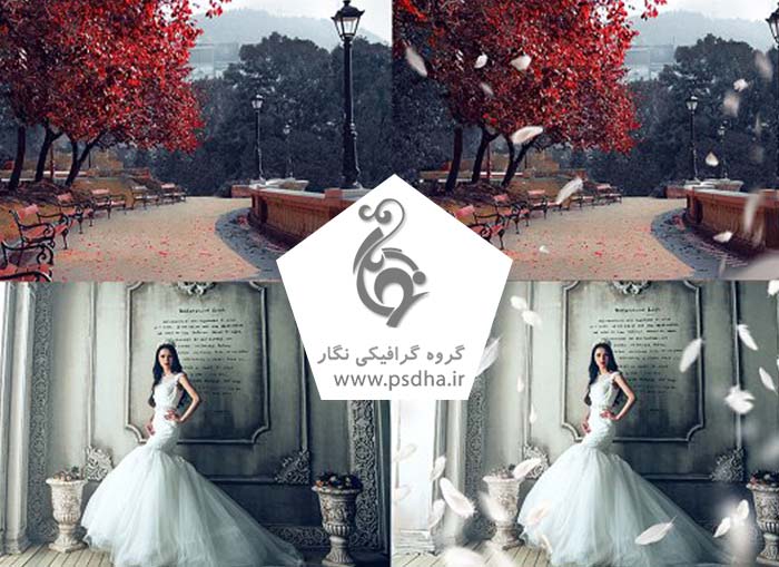 دانلود افکت قاصدک و افکت پر معلق