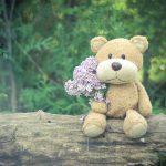 بک گراند دکور آتلیه با عروسک های مختلف خرس ، گوسفند ،مینیون ، میکی موس