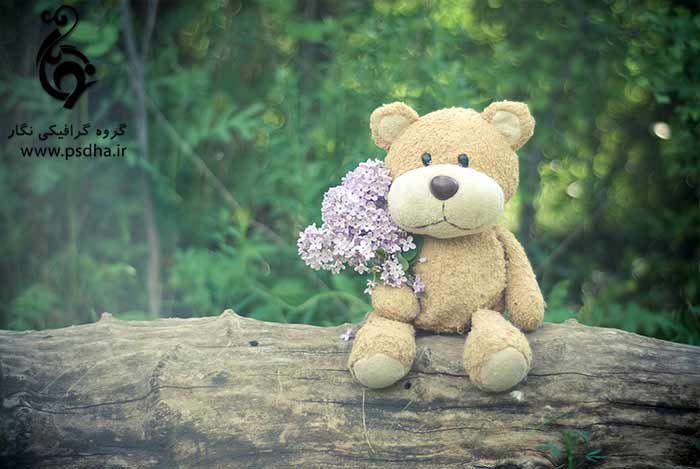 بک گراند دکور آتلیه با عروسک های مختلف