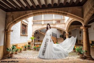 بک گراند باغ با کیفیت عالی برای طراحی