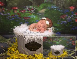 بک گراند عکس نوزاد و دکورهای آتلیه ای