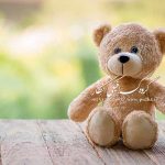 بک گراند با کیفیت عالی با خرس های عروسکی مناسب ژست های مختلف