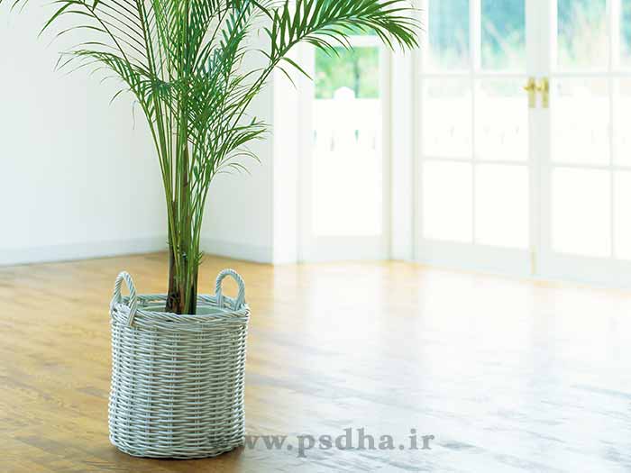 بک گراند دکور آتلیه
