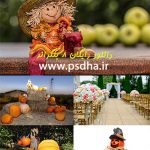 دانلود بک گراند آتلیه پاییز ، کدو ، برگ پاییزی