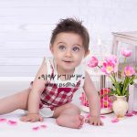 دانلود بک گراند نوروز و بهار کد3642