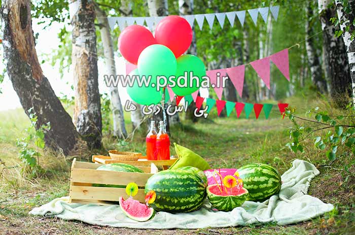 دانلود بک گراند باغ برای طراحی عکس کودک