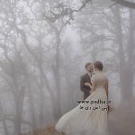 دانلود بک گراند جنگل مه آلود برای عکس عروس کد3729