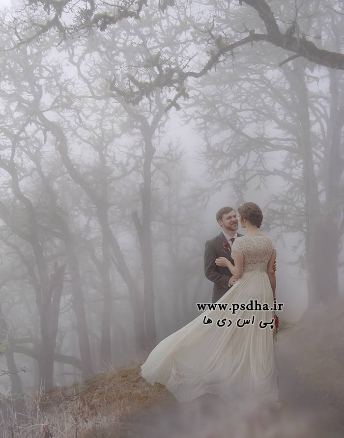 دانلود بک گراند جنگل مه آلود برای عکس