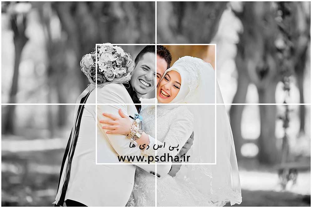 دانلود فون آماده برای طراحی عکس آلبوم