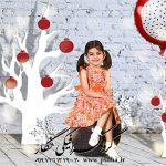 دانلود بک گراند دکور واقعی یلدا با استند درخت کد3785