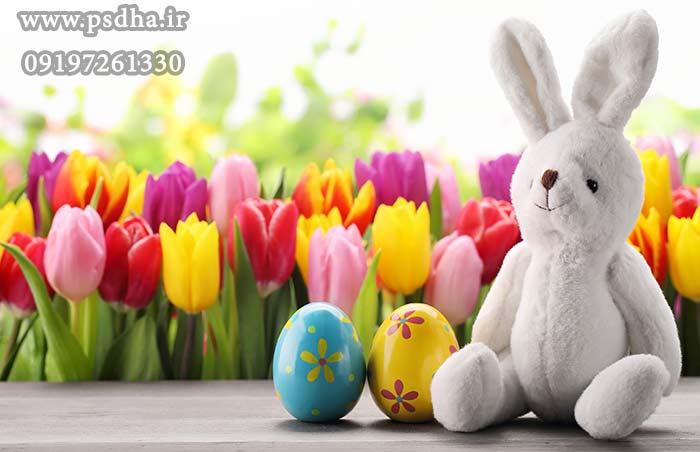 دانلود بک گراند عکاسی آتلیه ای برای عکس