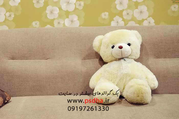 بک گراند خرس عروسکی