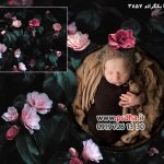 بک دراپ نوزادی تخت و حلقه گل کد 3857