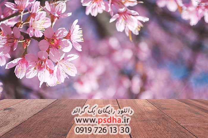 دانلود رایگان بکگراند عکس آتلیه