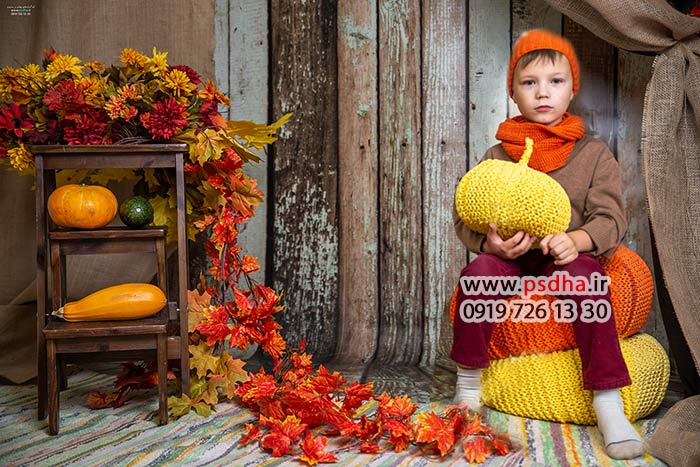 دانلود بک گراند با کیفیت پاییز و هالوین