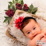 دانلود پس زمینه فتوشاپ برای طراحی عکس نوزاد کد 3910