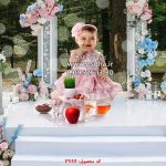 پس زمینه دکور هفت سین در باغ برای طراحی عکس کد 3994