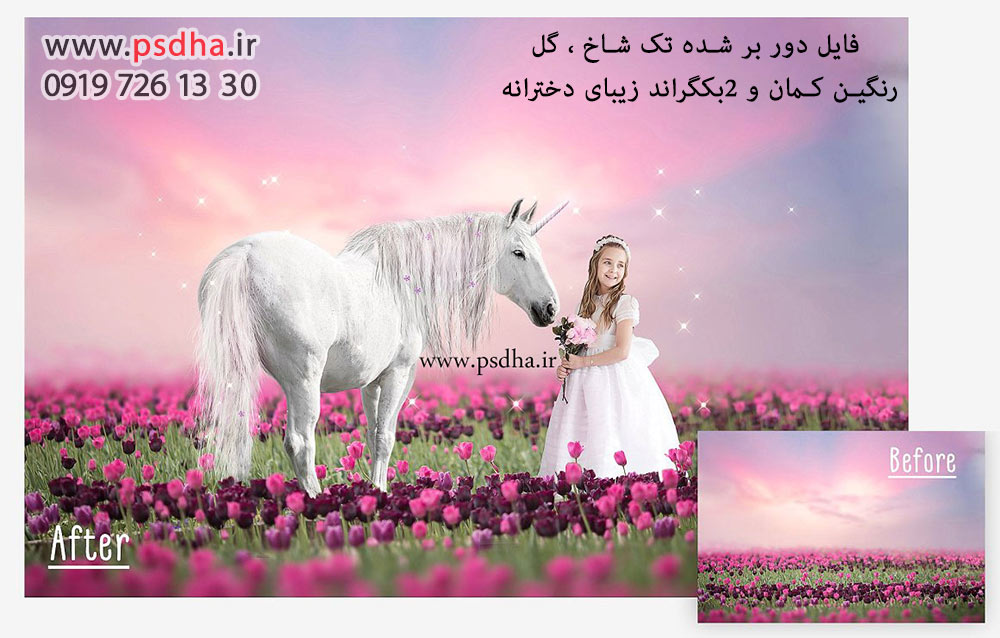 خرید دانلودی مجموعه تک شاخ دور بر شده و بکگراند