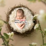 دانلود بک دراپ نوزاد کد 4070