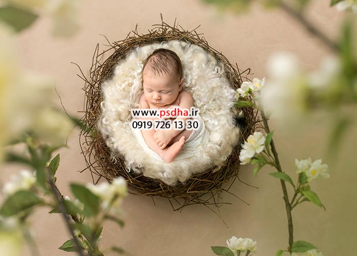 دانلود بک دراپ نوزاد