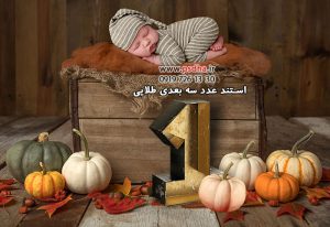 استند عدد های سه بعدی آهنی طلایی