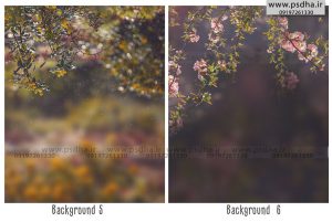 بک گراند رویایی باغ و طبیعت