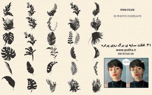 افزودن سایه ی برگ به عکس پرتره