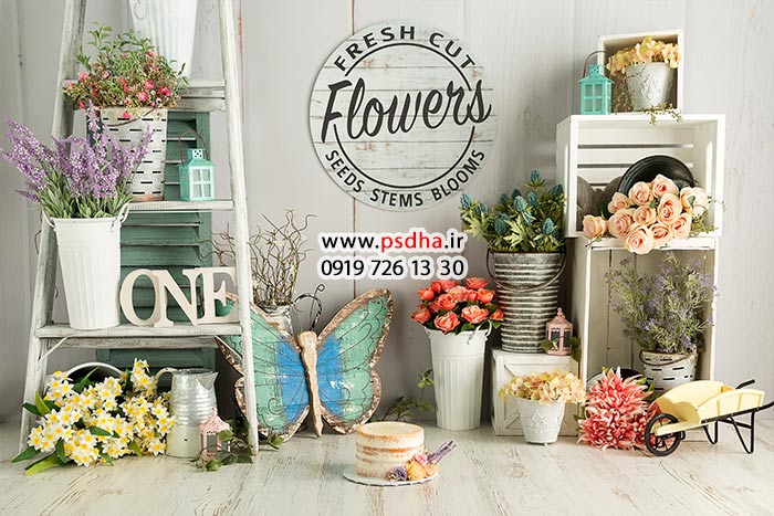 پس زمینه ی کارتونی برای طراحی عکس