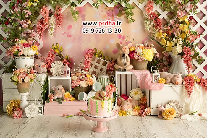 بک گراند عکس برای تولد کودک